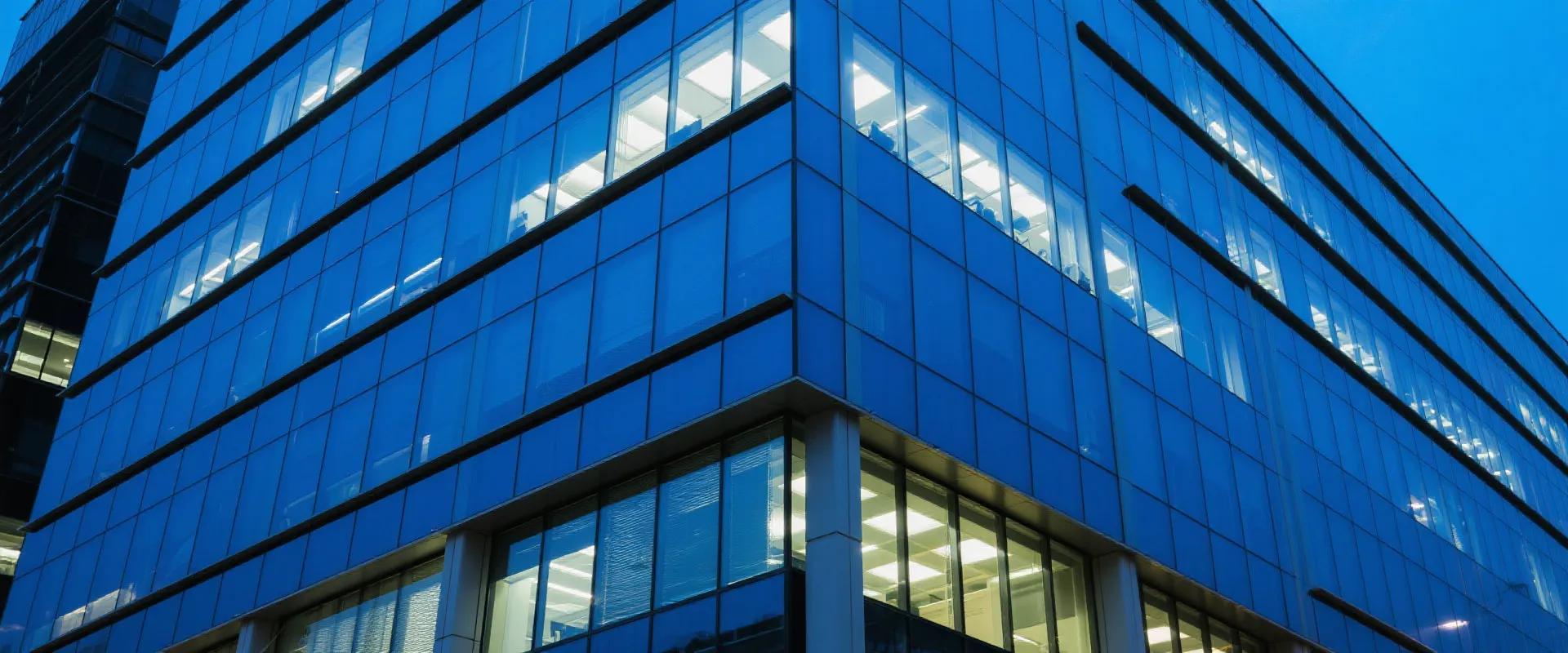 鸭脖体育企业背景